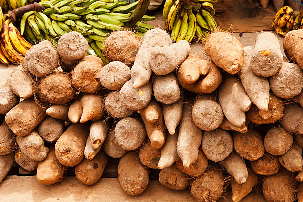Bulk Produce Harvests